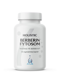Berberine Fytosom (Holistic)